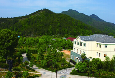 土蜂养殖中心